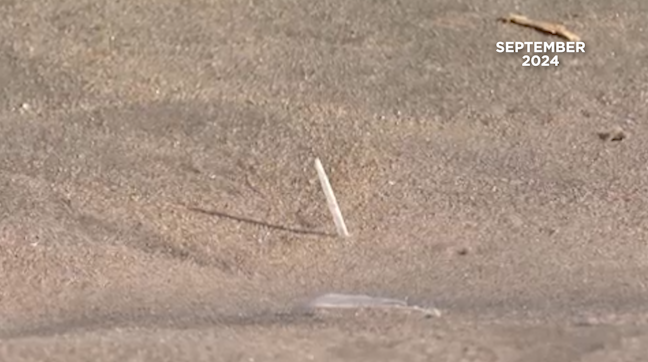 One year later, source of medical waste on Delmarva beaches remains unknown